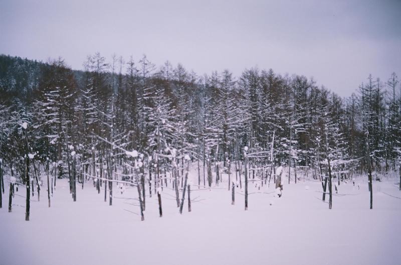 A White Hokkaido in Snowstorm Captured by Vietnamese Street Photographer A White Hokkaido in Snowstorm Captured by Vietnamese Street Photographer