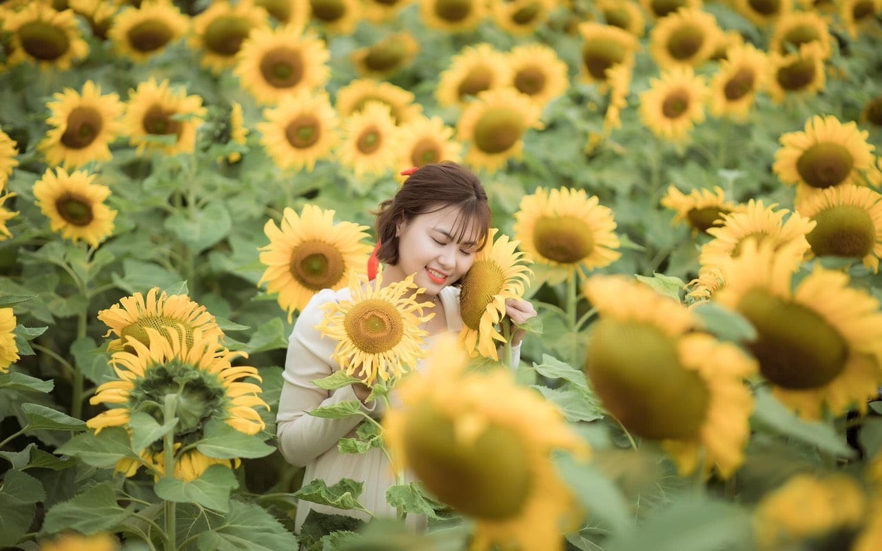 Instagram Op in Thanh Hoa You Should Check Out Now Instagram Op in Thanh Hoa You Should Check Out Now
