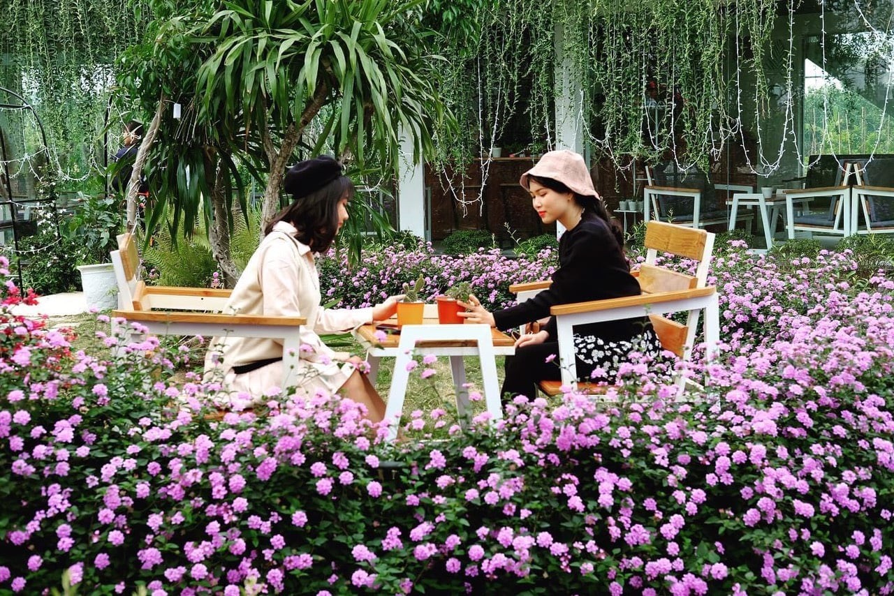 Instagram Op in Thanh Hoa You Should Check Out Now Instagram Op in Thanh Hoa You Should Check Out Now