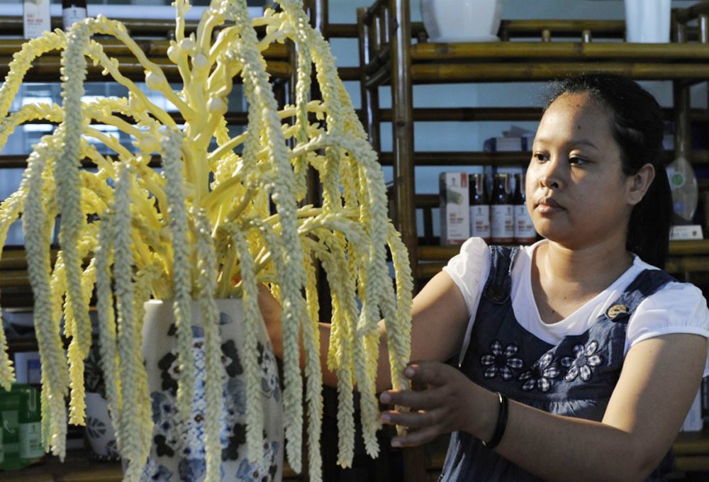 Photo: vietnamnet Photo: vietnamnet