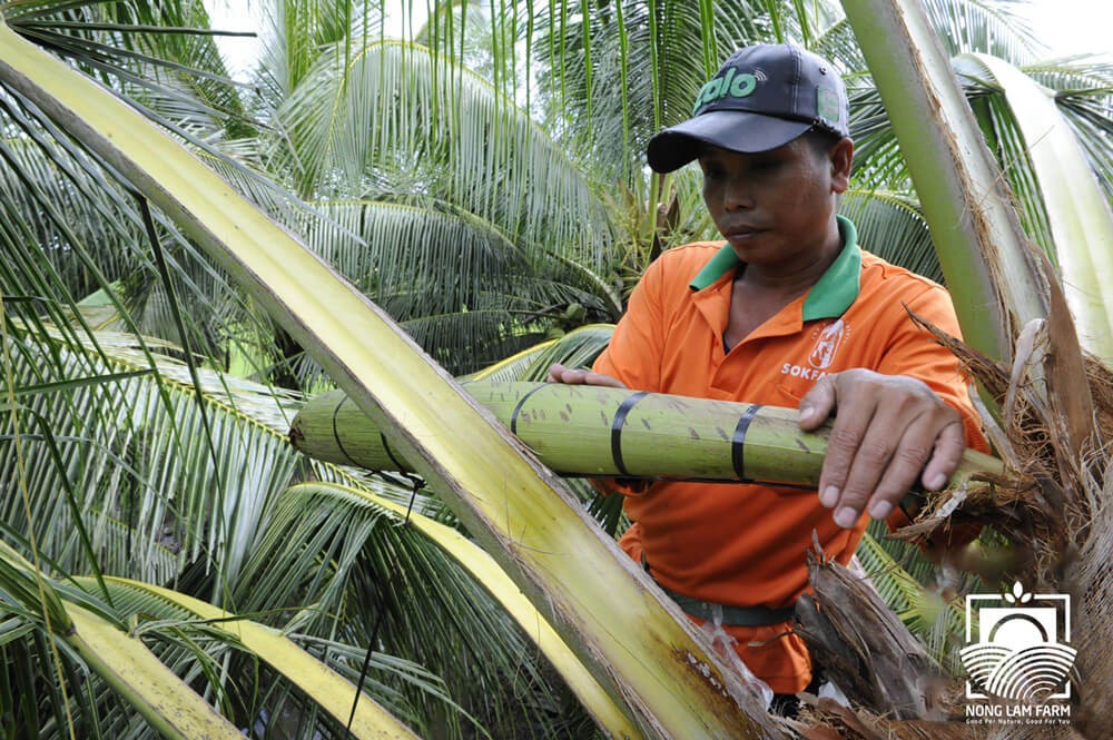 Photo: Nong Lam Farm Photo: Nong Lam Farm