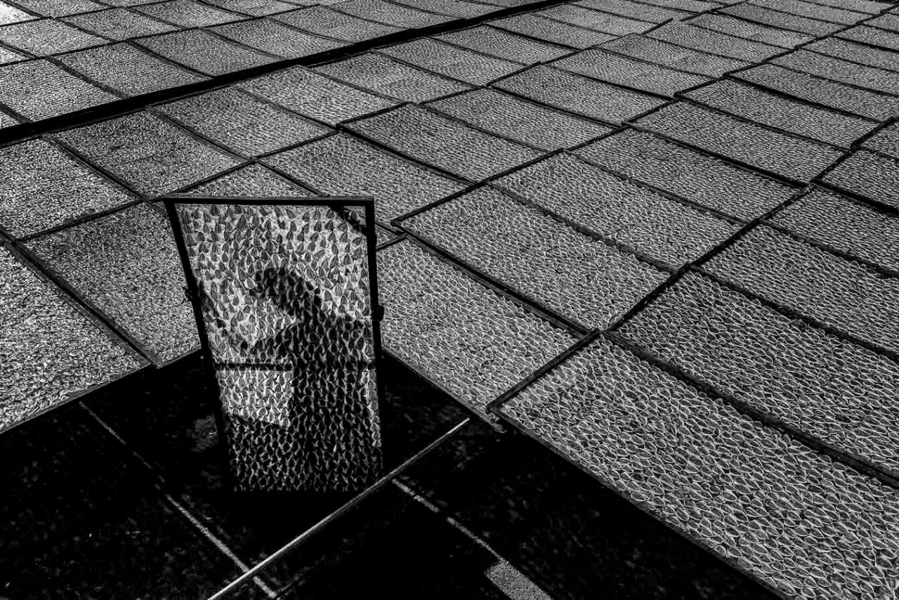Vietnamese Artists Scoop International Photography Awards at Saudi Arabia Vietnamese Artists Scoop International Photography Awards at Saudi Arabia