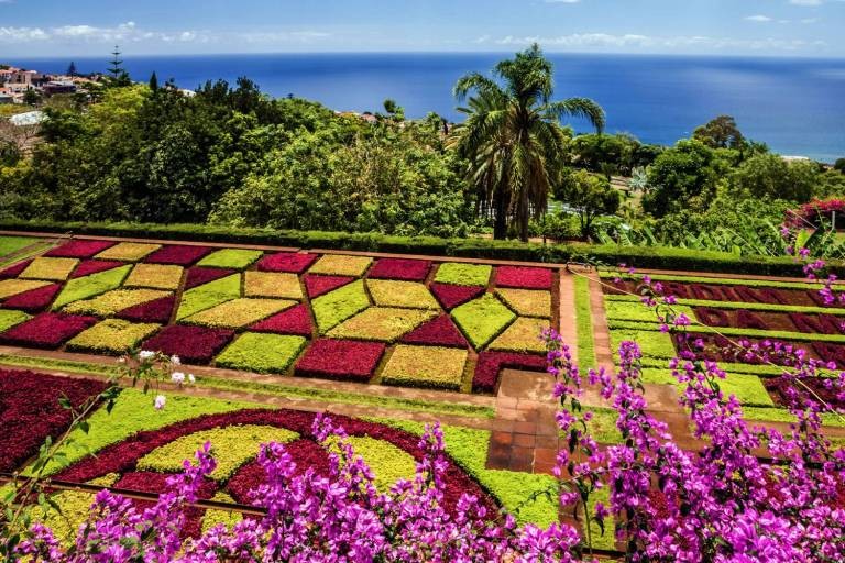Da Lat Name One of The World's Top 6 Destinations for Spring Flowers Da Lat Name One of The World's Top 6 Destinations for Spring Flowers
