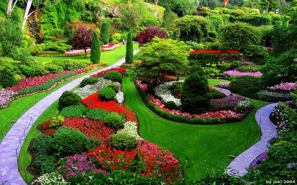 Da Lat Name One of The World's Top 6 Destinations for Spring Flowers Da Lat Name One of The World's Top 6 Destinations for Spring Flowers