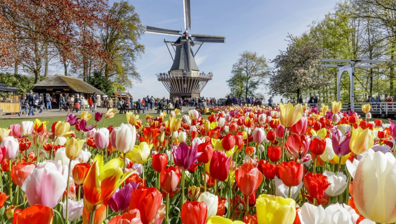 Da Lat Name One of The World's Top 6 Destinations for Spring Flowers Da Lat Name One of The World's Top 6 Destinations for Spring Flowers