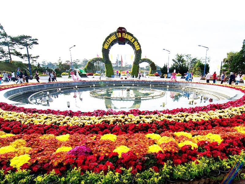 Da Lat Name One of The World's Top 6 Destinations for Spring Flowers Da Lat Name One of The World's Top 6 Destinations for Spring Flowers