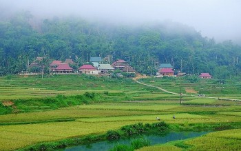 Where to Visit in Tsinghua: Pu Luong - the Ultimate Nature Reserve