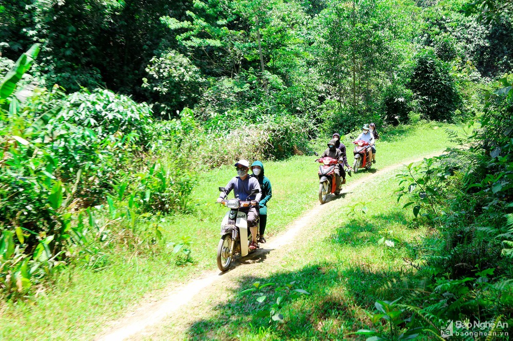 Exploring the Fountain of Youth in Nghe An Exploring the Fountain of Youth in Nghe An