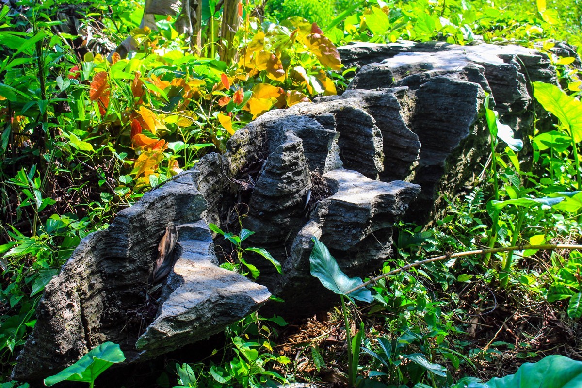 Where to Visit in Quang Nam: Doi Cave Tien An - A Time Travel Beauty Where to Visit in Quang Nam: Doi Cave Tien An - A Time Travel Beauty