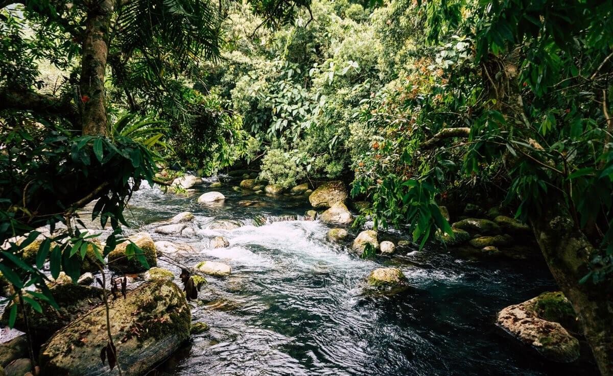Top Attractions in Phong Nha Praised by International Press Top Attractions in Phong Nha Praised by International Press