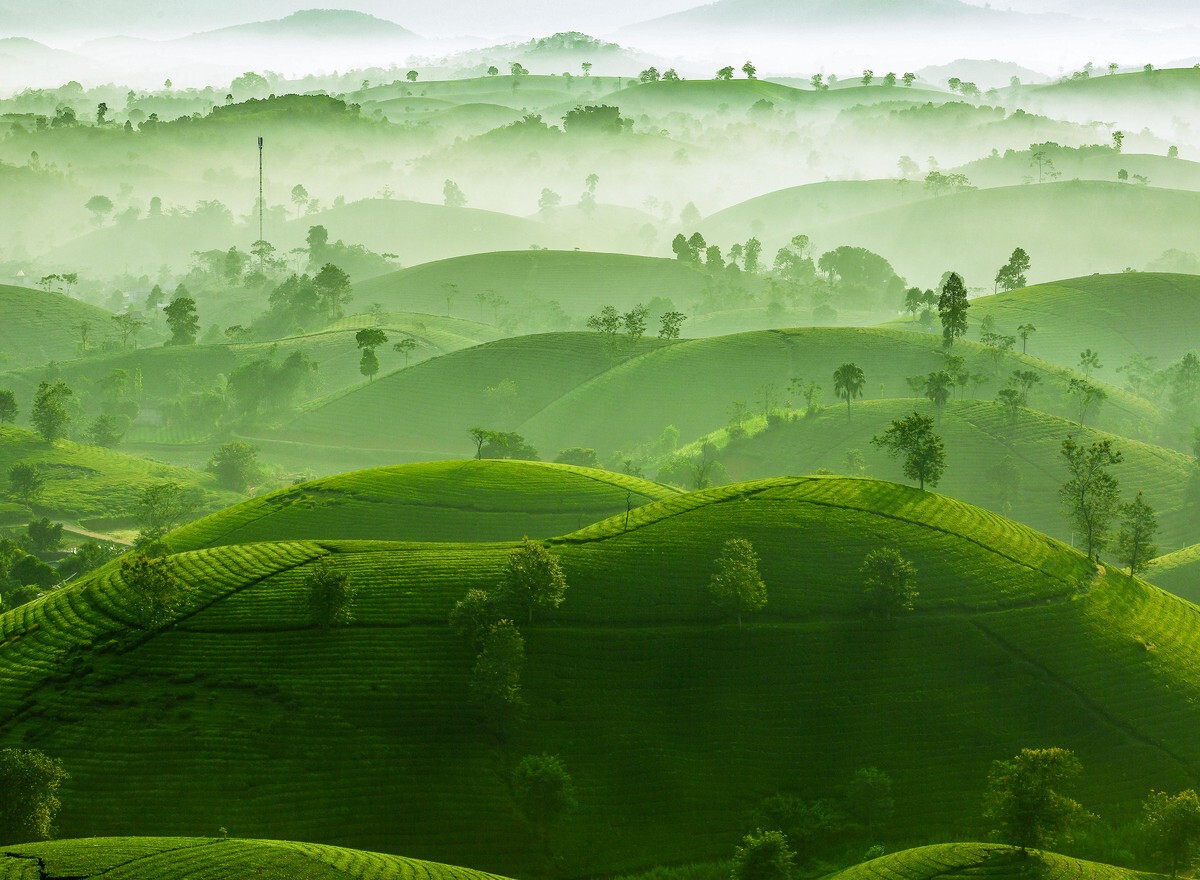 Vietnam Midland's Beauty Won Sliver in International Photos Award
