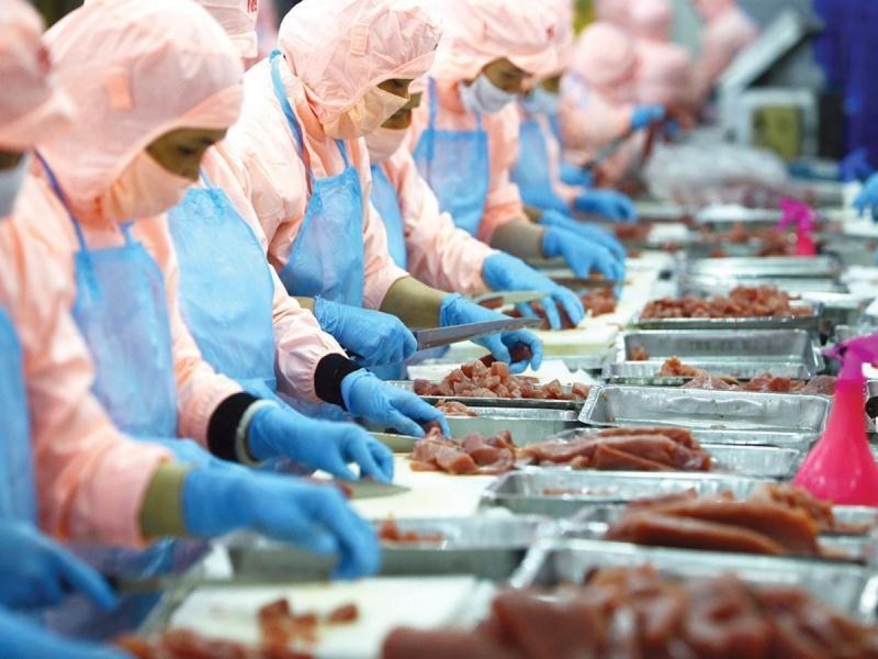 Vietnam Exports Surplus to Meet Global Market Demand Vietnam Exports Surplus to Meet Global Market Demand