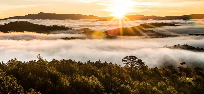 Top 5 Nature Camping Sites in Da Lat Top 5 Nature Camping Sites in Da Lat