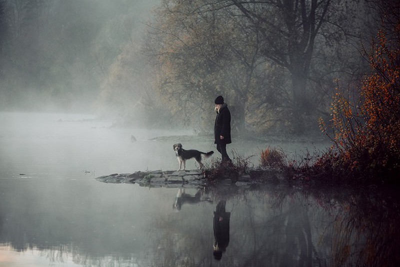 Fur-bulous Pictures! Here Are The Winners of 2021 Dog Photography Awards Fur-bulous Pictures! Here Are The Winners of 2021 Dog Photography Awards