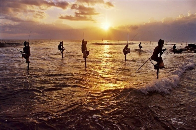 undefined The Last Stilt Fishermen in Sri Lanka