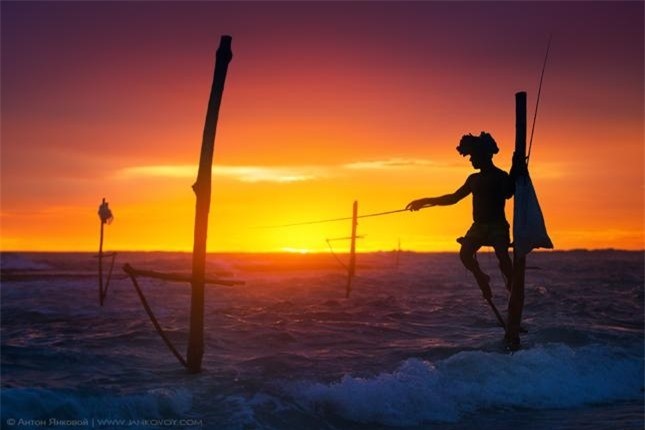 undefined The Last Stilt Fishermen in Sri Lanka