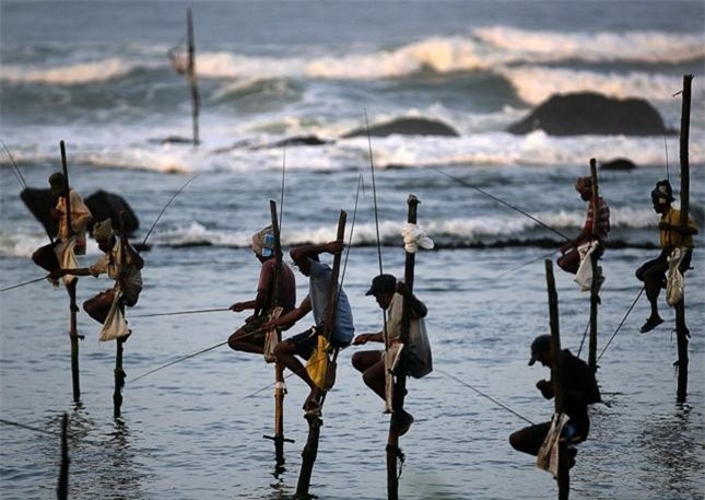 The Last Stilt Fishermen in Sri Lanka The Last Stilt Fishermen in Sri Lanka