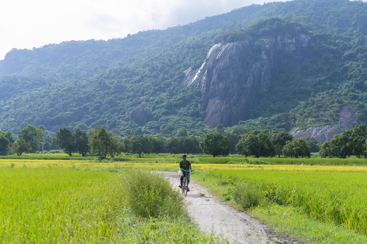 Stunning Photogenic Scene of Tà Pạ Rice Field to See Right Now Stunning Photogenic Scene of Tà Pạ Rice Field to See Right Now