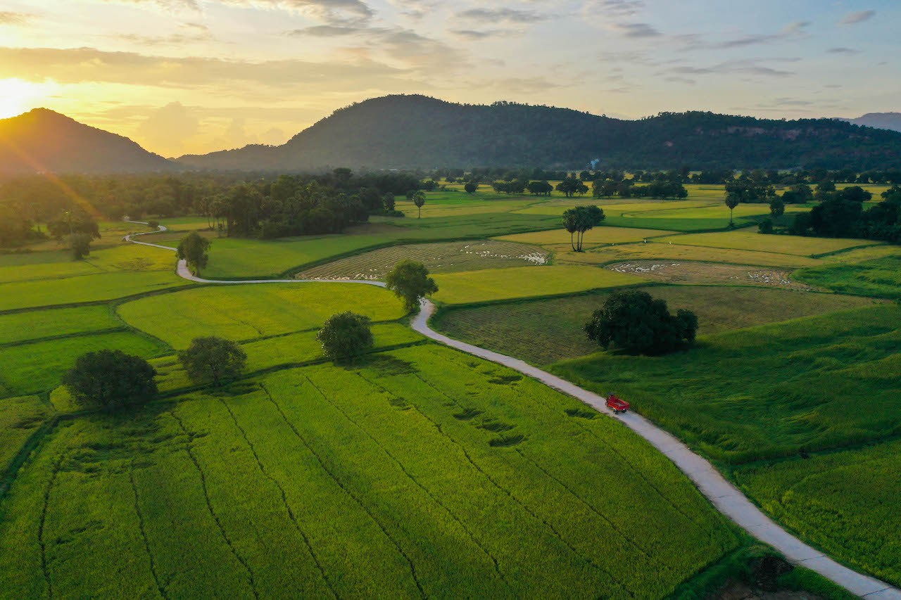Stunning Photogenic Scene of Tà Pạ Rice Field to See Right Now Stunning Photogenic Scene of Tà Pạ Rice Field to See Right Now