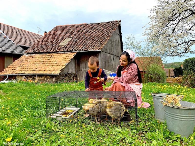 The Suburban Life in German: Thousands Square Meter Orchard of Vietnamese-German Couple The Suburban Life in German: Thousands Square Meter Orchard of Vietnamese-German Couple