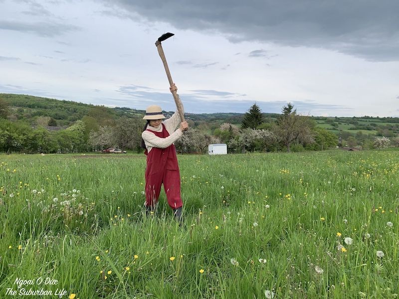 The Suburban Life in German: Thousands Square Meter Orchard of Vietnamese-German Couple The Suburban Life in German: Thousands Square Meter Orchard of Vietnamese-German Couple