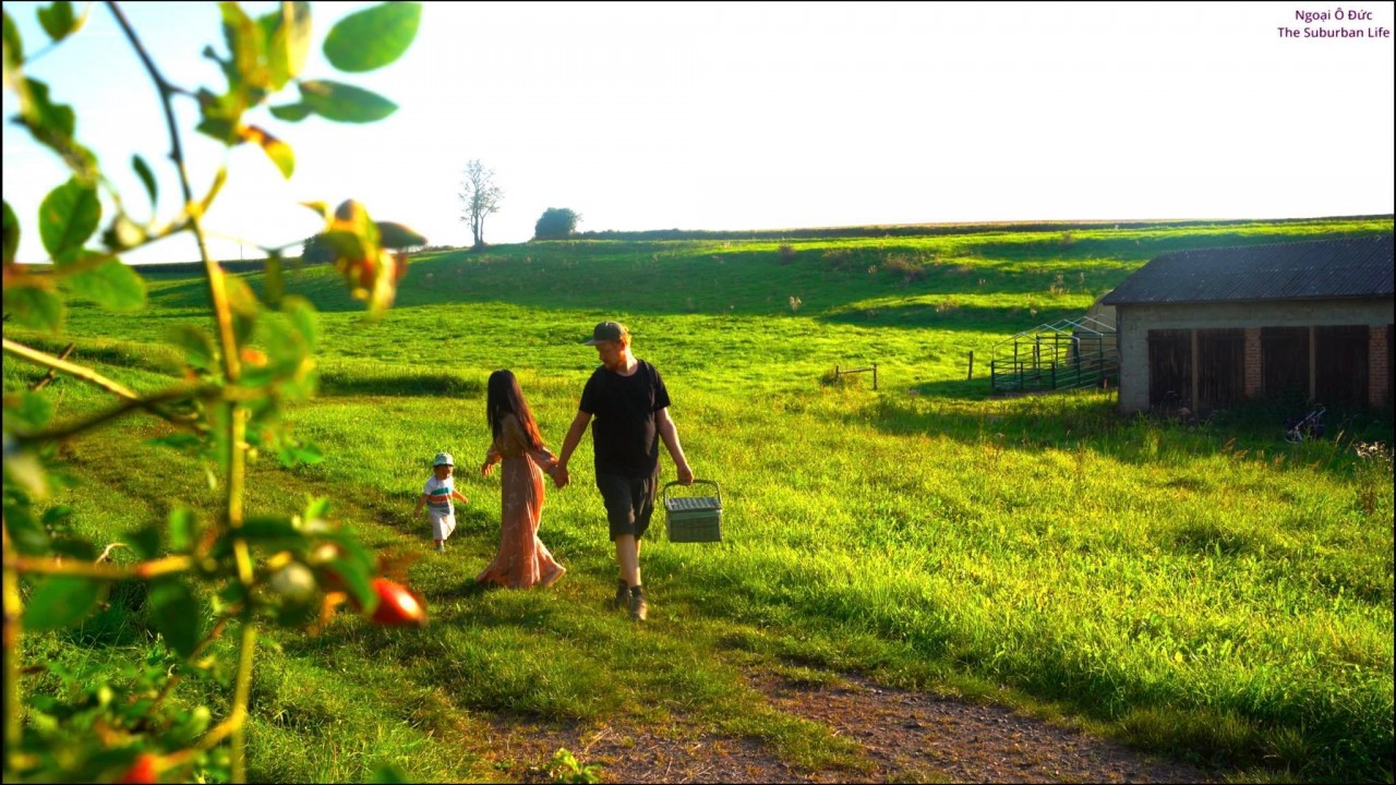 The Suburban Life in German: Thousands Square Meter Orchard of Vietnamese-German Couple The Suburban Life in German: Thousands Square Meter Orchard of Vietnamese-German Couple