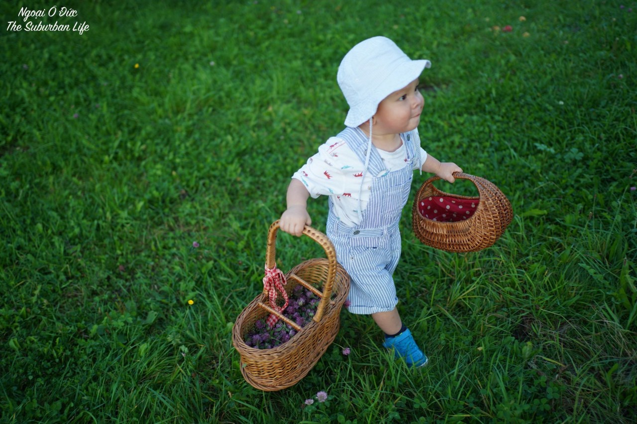 The Suburban Life in German: Thousands Square Meter Orchard of Vietnamese-German Couple The Suburban Life in German: Thousands Square Meter Orchard of Vietnamese-German Couple