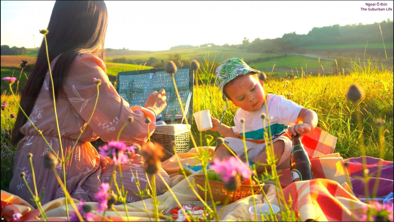 The Suburban Life in German: Thousands Square Meter Orchard of Vietnamese-German Couple The Suburban Life in German: Thousands Square Meter Orchard of Vietnamese-German Couple