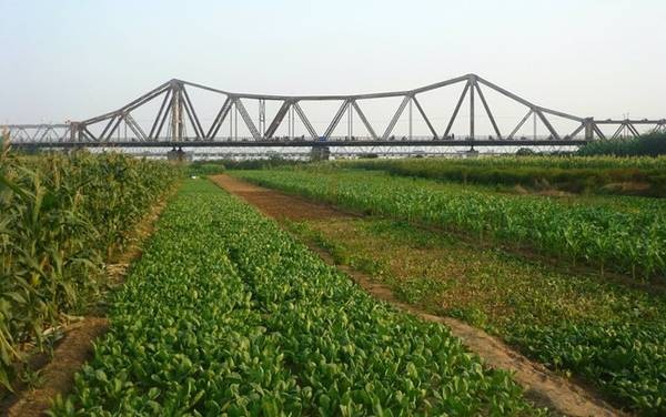 Quận Hoàn Kiếm đang nghiên cứu biến bãi giữa sông Hồng thành công viên Quận Hoàn Kiếm đang nghiên cứu biến bãi giữa sông Hồng thành công viên