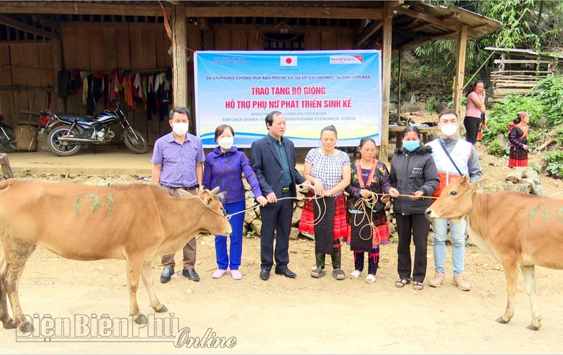 Hội viên phụ nữ bản Há Là Chủ B, xã Hừa Ngài nhận bò sinh sản. Ảnh: Báo Điện Biên Phủ Hội viên phụ nữ bản Há Là Chủ B, xã Hừa Ngài nhận bò sinh sản. Ảnh: Báo Điện Biên Phủ