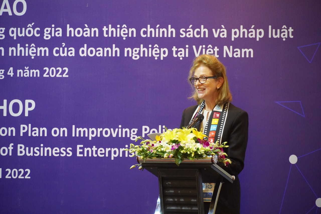 Trưởng Đại diện thường trú của UNDP tại Việt Nam Caitlin Wiesen Trưởng Đại diện thường trú của UNDP tại Việt Nam Caitlin Wiesen