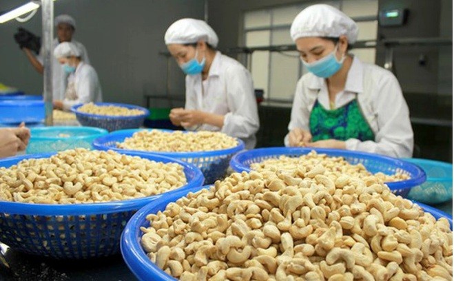 xuất khẩu điều là một trong những ngành hàng xuất khẩu số một của Việt Nam ra thế giới. Ảnh minh họa: Internet xuất khẩu điều là một trong những ngành hàng xuất khẩu số một của Việt Nam ra thế giới. Ảnh minh họa: Internet
