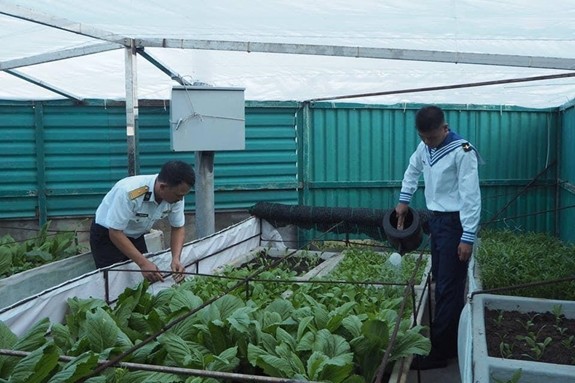 Người đưa đất ra Trường Sa trồng rau xanh Người đưa đất ra Trường Sa trồng rau xanh