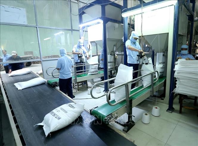 Doanh nghiệp sẽ được tư vấn, giải đáp các vấn đề liên quan đến việc xuất, nhập khẩu sản phẩm lúa gạo sang thị trường ASEAN Doanh nghiệp sẽ được tư vấn, giải đáp các vấn đề liên quan đến việc xuất, nhập khẩu sản phẩm lúa gạo sang thị trường ASEAN