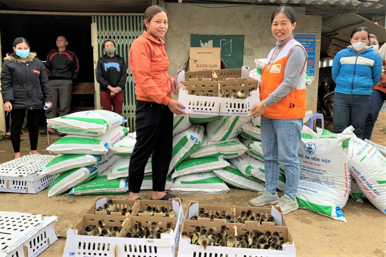 World Vision Việt Nam hỗ trợ ngan Pháp R71, thức ăn chăn nuôi và thuốc cho 160 hộ gia đình ở huyện Bá Thước chịu ảnh hưởng bởi đại dịch COVID-19. Ảnh: World Vision Việt Nam World Vision Việt Nam hỗ trợ ngan Pháp R71, thức ăn chăn nuôi và thuốc cho 160 hộ gia đình ở huyện Bá Thước chịu ảnh hưởng bởi đại dịch COVID-19. Ảnh: World Vision Việt Nam