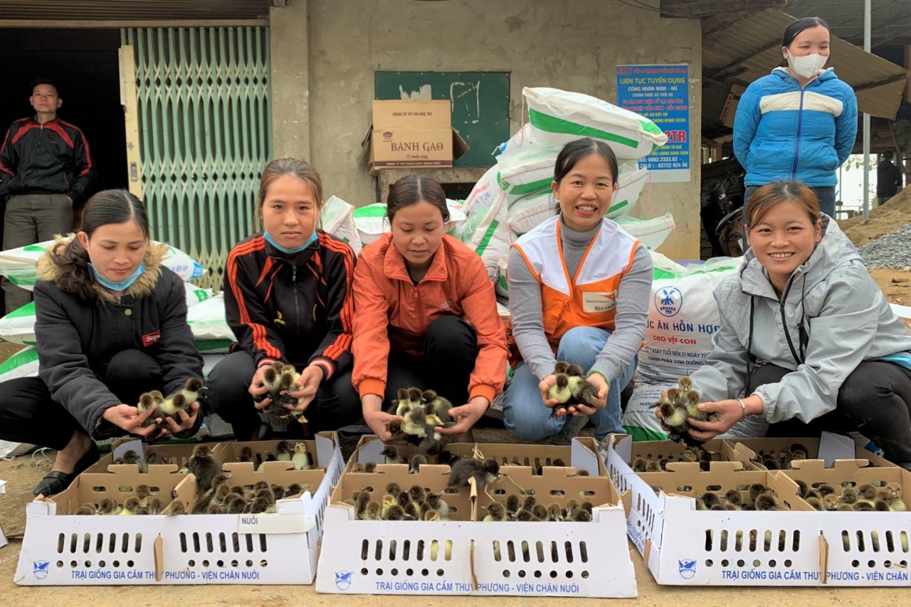 được tập huấn các kỹ năng để chăm sóc vật nuôi. Ảnh: World Vision Việt Nam được tập huấn các kỹ năng để chăm sóc vật nuôi. Ảnh: World Vision Việt Nam