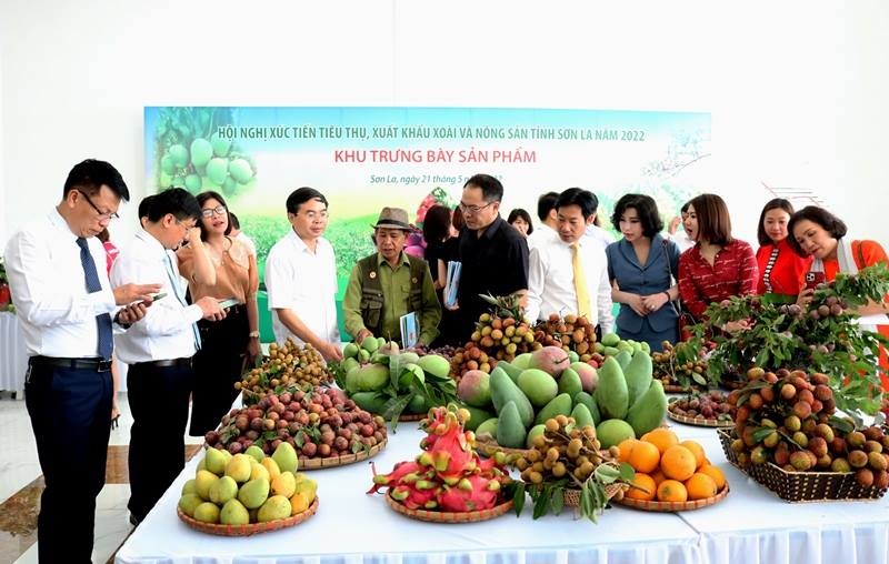Đông đảo đại biểu tham dự và tham quan các gian hàng trưng bày sản phẩm nông sản tại hội nghị. Ảnh: Cổng TTĐT tỉnh Sơn La. Đông đảo đại biểu tham dự và tham quan các gian hàng trưng bày sản phẩm nông sản tại hội nghị. Ảnh: Cổng TTĐT tỉnh Sơn La.