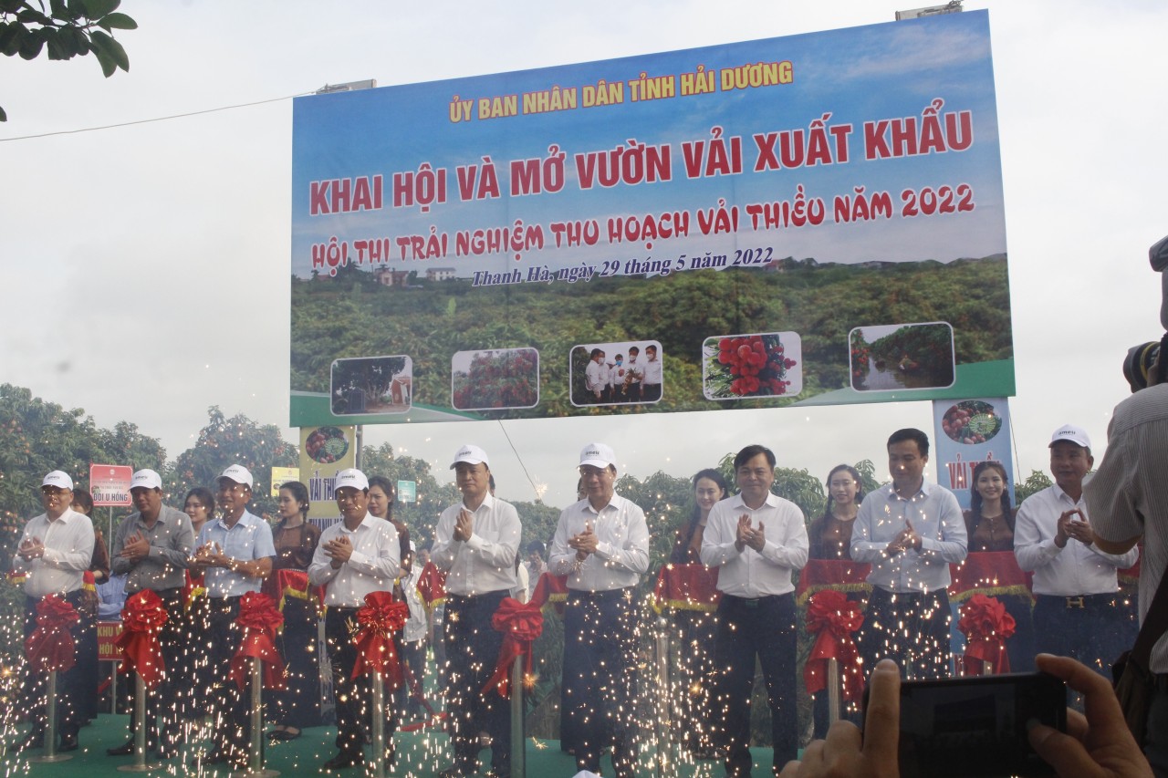 í lãnh đạo bộ, ngành Trung ương và tỉnh dự lễ mở vườn vải xuất khẩu tại thôn Thanh Lanh, xã Thanh Quang (Thanh Hà) í lãnh đạo bộ, ngành Trung ương và tỉnh dự lễ mở vườn vải xuất khẩu tại thôn Thanh Lanh, xã Thanh Quang (Thanh Hà)