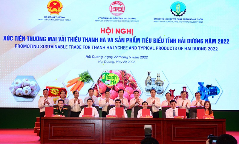 Đại diện cơ quan chuyên môn của tỉnh Hải Dương ký kết giao thương tiêu thụ vải thiều sản phẩm tiêu biểu tỉnh Hải Dương qua các sàn thương mại điện tử. Đại diện cơ quan chuyên môn của tỉnh Hải Dương ký kết giao thương tiêu thụ vải thiều sản phẩm tiêu biểu tỉnh Hải Dương qua các sàn thương mại điện tử.