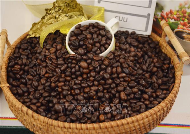 Cà phê Việt Nam tạo trải nghiệm độc đáo cho người tiêu dùng ở Bỉ Chú thích ảnh