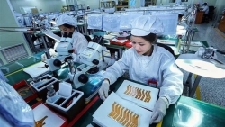 Государственная программа по развитию науки и технологий, национальной цифровой трансформации