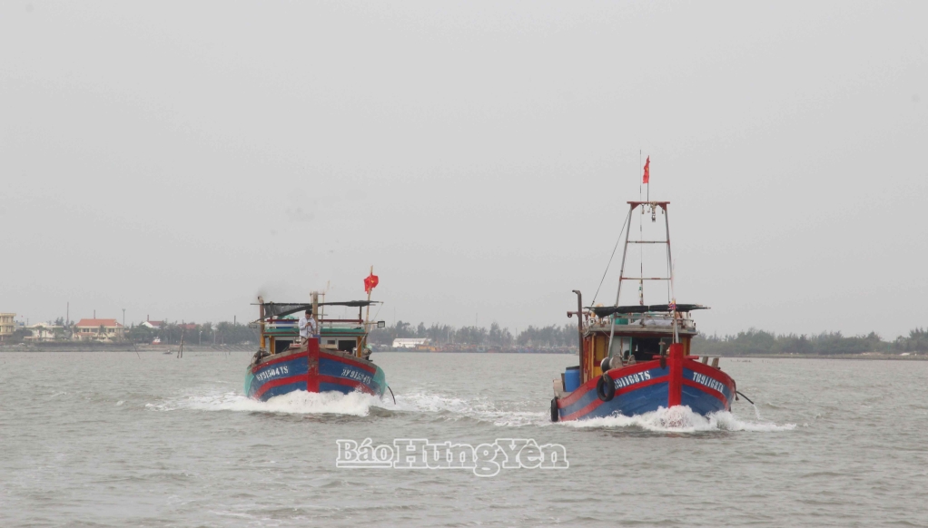Рыболовецкое судно выходит в море после прохождения всех необходимых административных процедур.