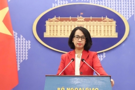 Вьетнам ценит солидарность и поддержку международного сообщества и вьетнамцев за рубежом во время стихийных бедствий