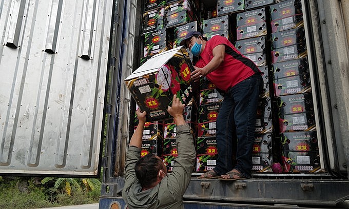 Drivers check fruits quality near the border gate with China in Vietnam's Lang Son Province on December 16, 2021. Photo by VnExpress Drivers check fruits quality near the border gate with China in Vietnam's Lang Son Province on December 16, 2021. Photo by VnExpress