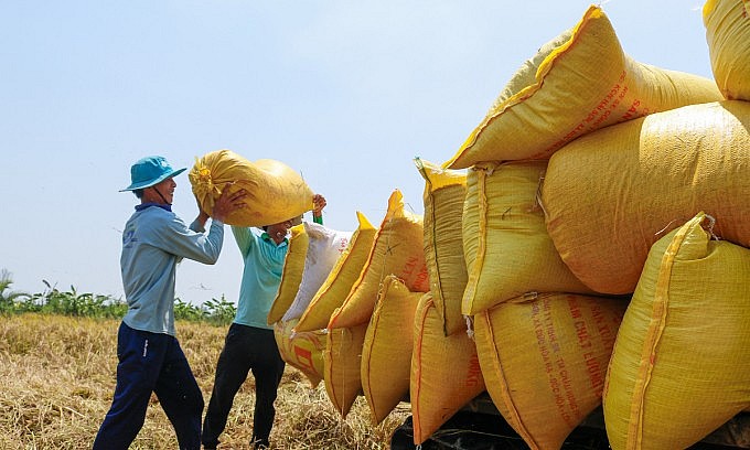 Farmers harvest paddy in the southern province of Soc Trang. Photo by VnExpress Farmers harvest paddy in the southern province of Soc Trang. Photo by VnExpress