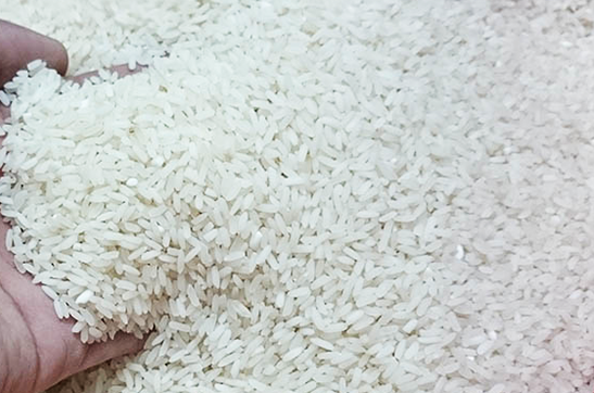 Vietnam continues rice industry restructuring