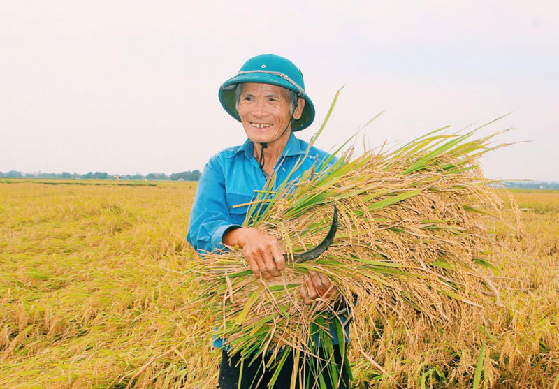 undefined 5019-farmer