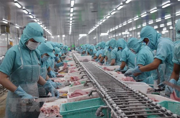 Workers process tra fish for export (Photo: VNA) 4539-tra-fish