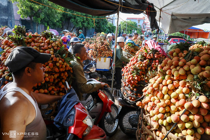 Lychee-growing localities receive preorders from foreign traders Lychee-growing localities receive preorders from foreign traders