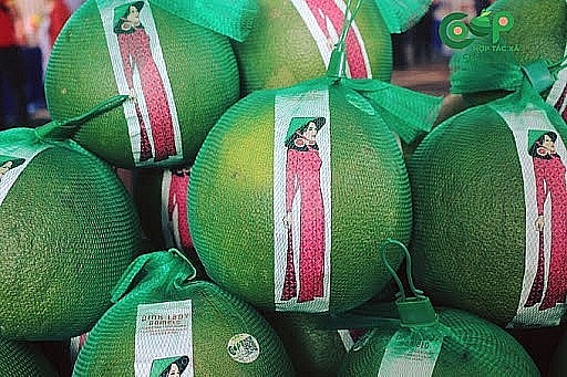 Agricultural Cooperation Expected to Help Raise Vietnam-New Zealand Trade Agricultural Cooperation Expected to Help Raise Vietnam-New Zealand Trade